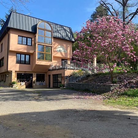 Penzion Janata Slapy nad Vltavou Exterior foto