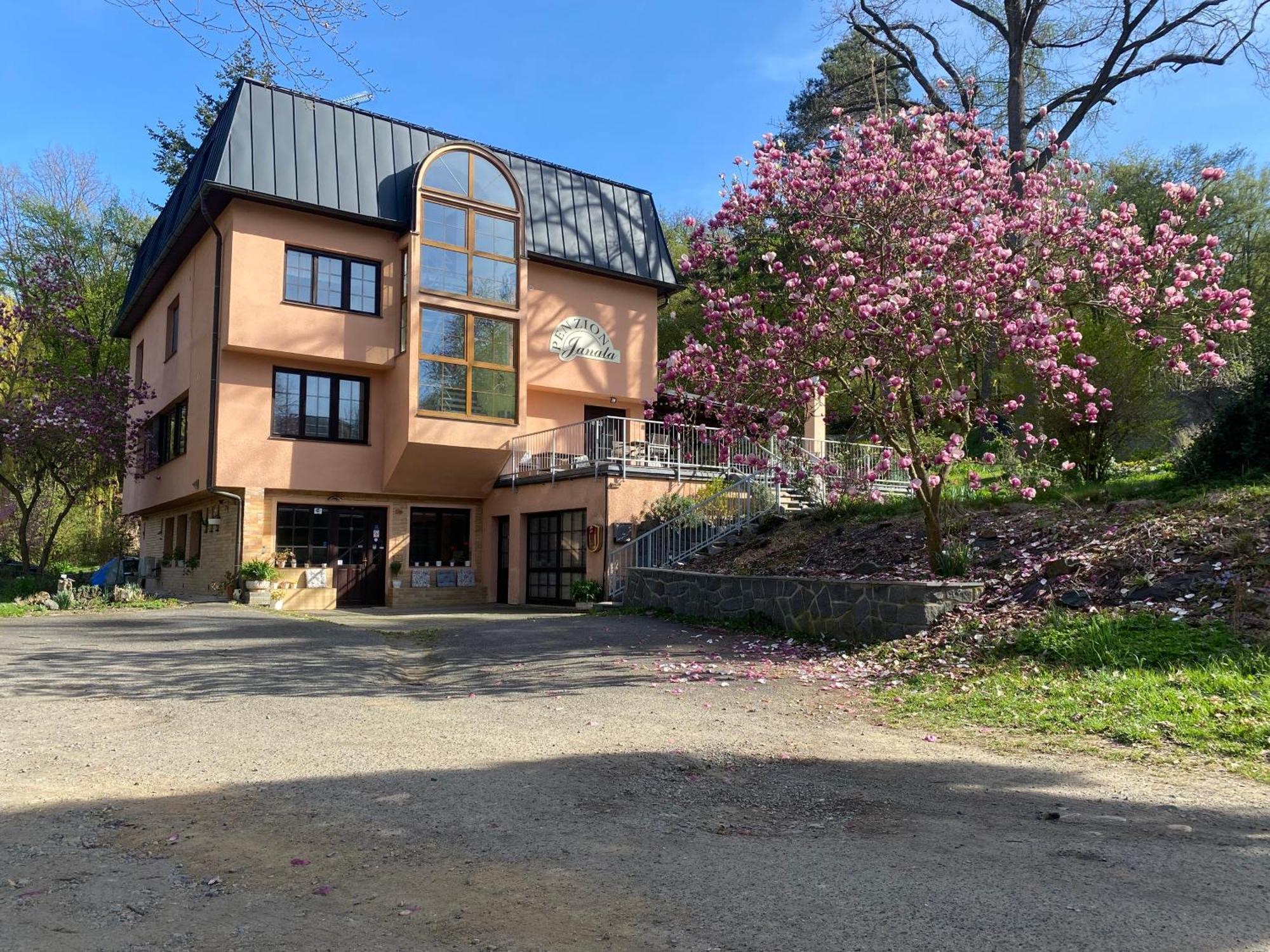 Penzion Janata Slapy nad Vltavou Exterior foto